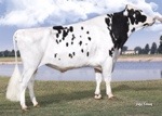 Estados Unidos continúa siendo la primera fuente de genética Holstein Registrada