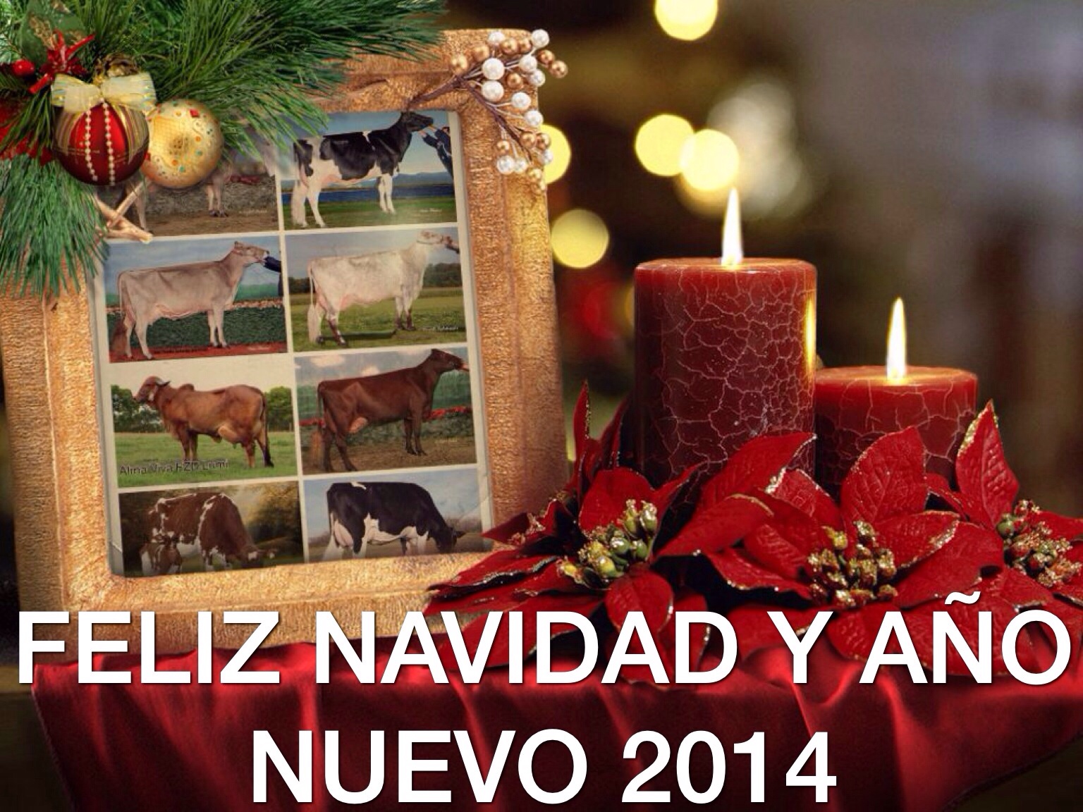 FELIZ NAVIDAD Y AÑO NUEVO 2014