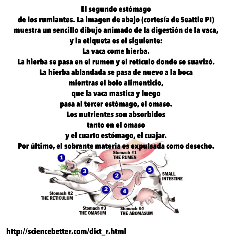 MUY FÁCIL DE ENTENDER (RUMEN)