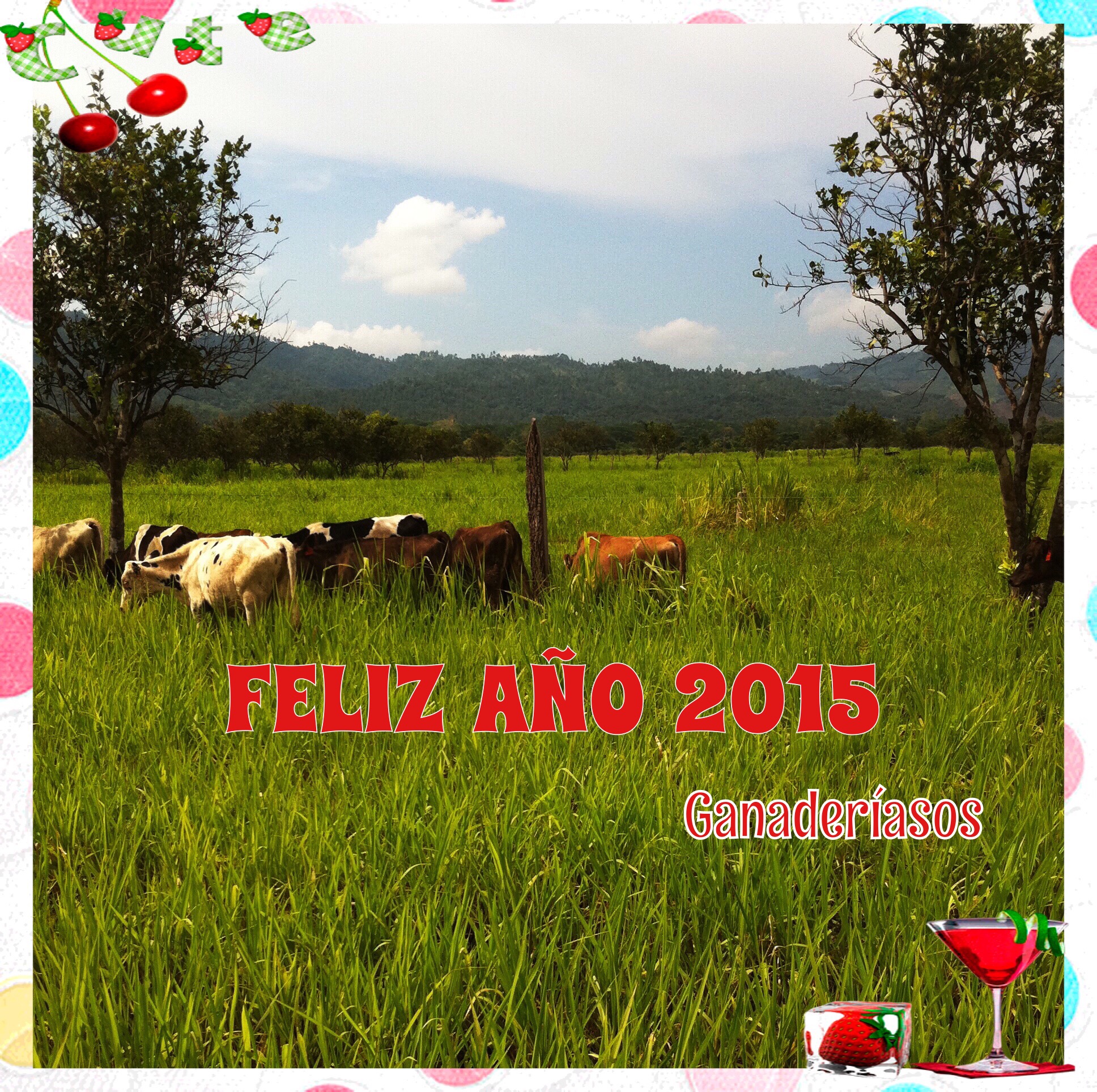 FELIZ   AÑO 2015