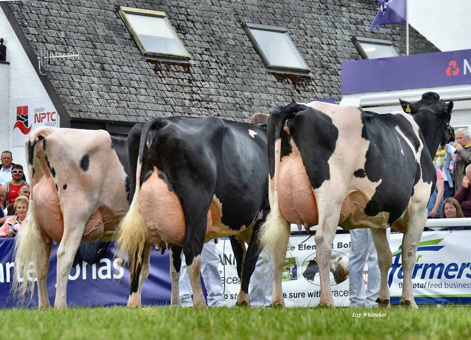 RELACIÓN ENTRE CAMBIOS DE PESO O DE CONDICIÓN CORPORAL Y FERTILIDAD EN VACAS DE LECHE