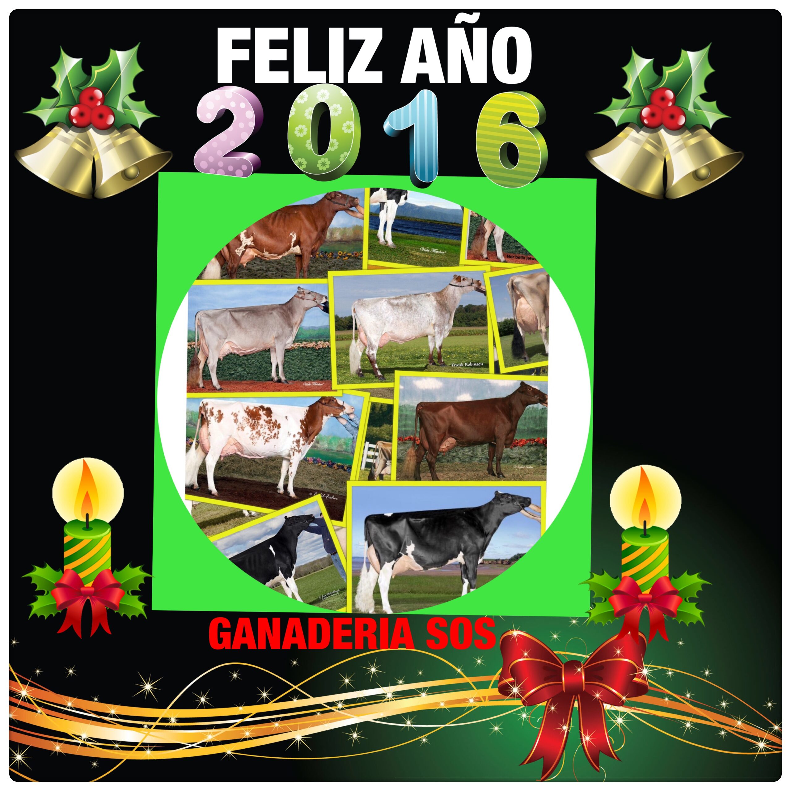 FELIZ AÑO NUEVO