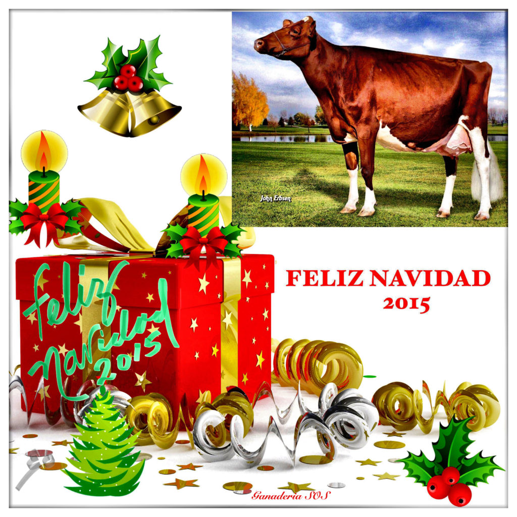 FELIZ NAVIDAD 2015