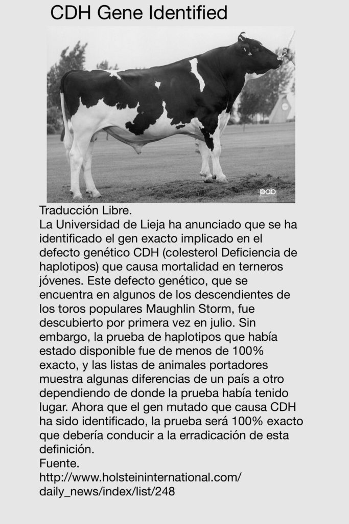 CDH gen identificado