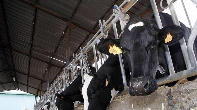 MECANISMO FISIOLÓGICO DEL ANESTRO POSPARTO EN LA VACA