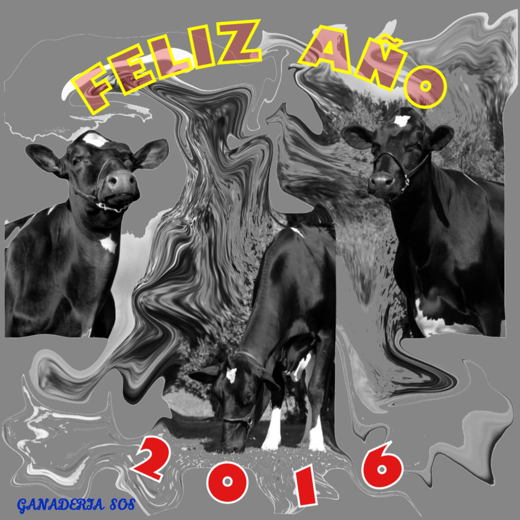 FELIZ AÑO 2016