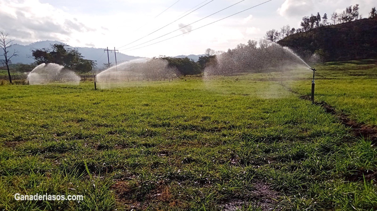 ETOLOGIA APLICADA A LA PRODUCCIÓN BOVINA