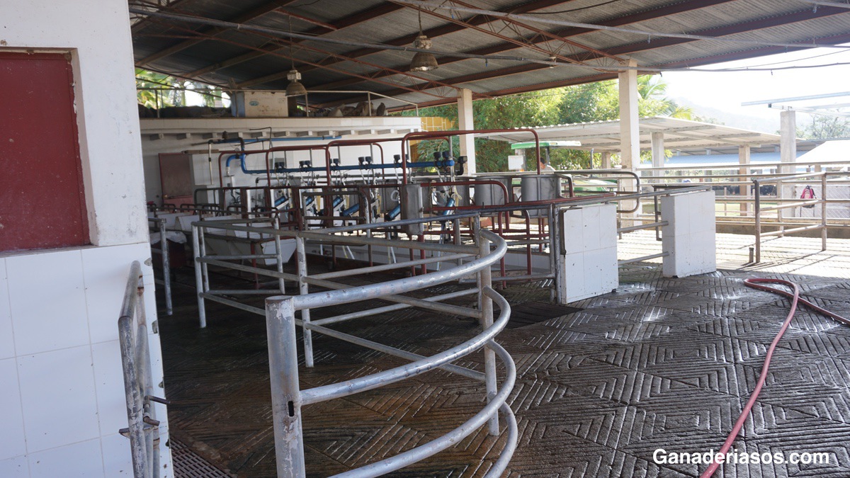 TIPOS DE SALAS DE ORDEÑO-LAS INSTALACIONES DE ORDEÑO