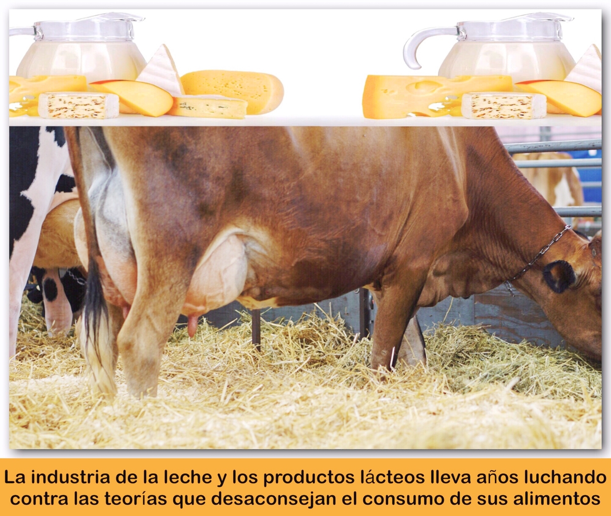 LAS FALSAS TEORÍAS SOBRE LA LECHE Y LOS PRODUCTOS LÁCTEOS