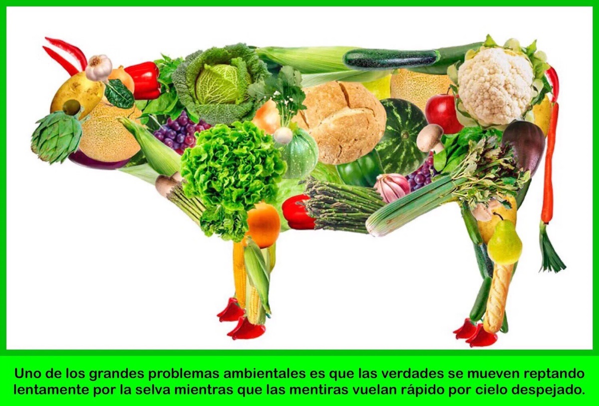 LA CONFUSIÓN DEL VEGANISMO