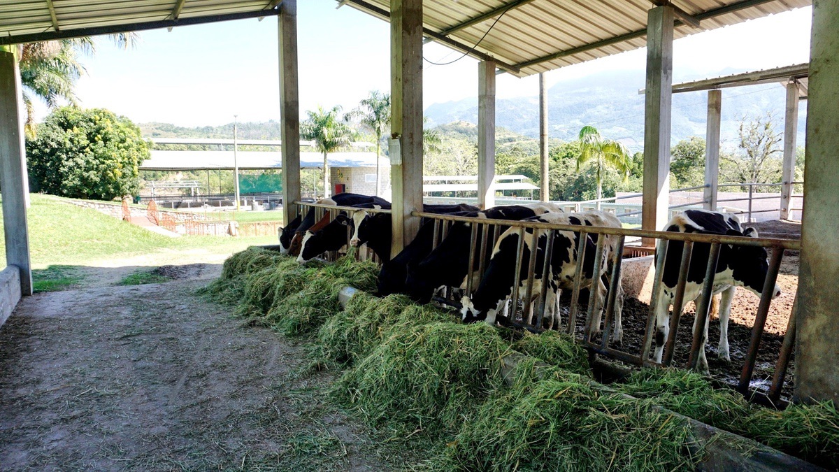 LA NUTRICIÓN ANIMAL DEL FUTURO