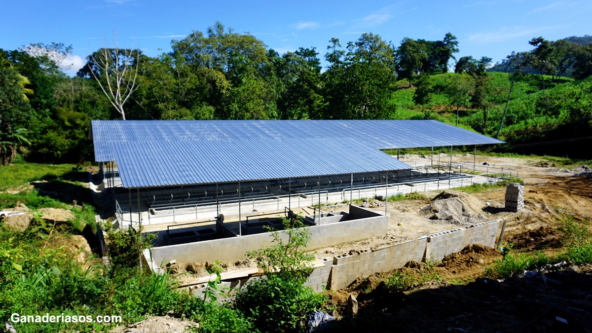 RECOMENDACIONES PARA LA CONSTRUCCIÓN DE ESTABLOS PARA VACUNO DE LECHE