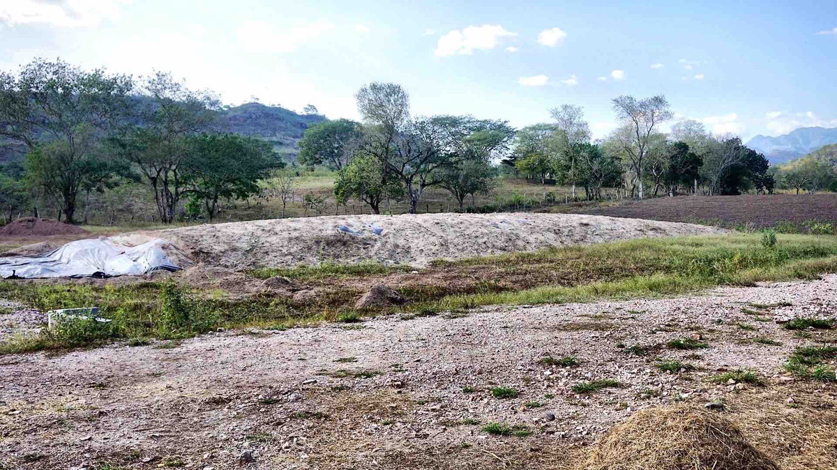 NUEVOS PARÁMETROS DE CALIDAD ANALIZADOS EN LOS SILOS DE MAÍZ