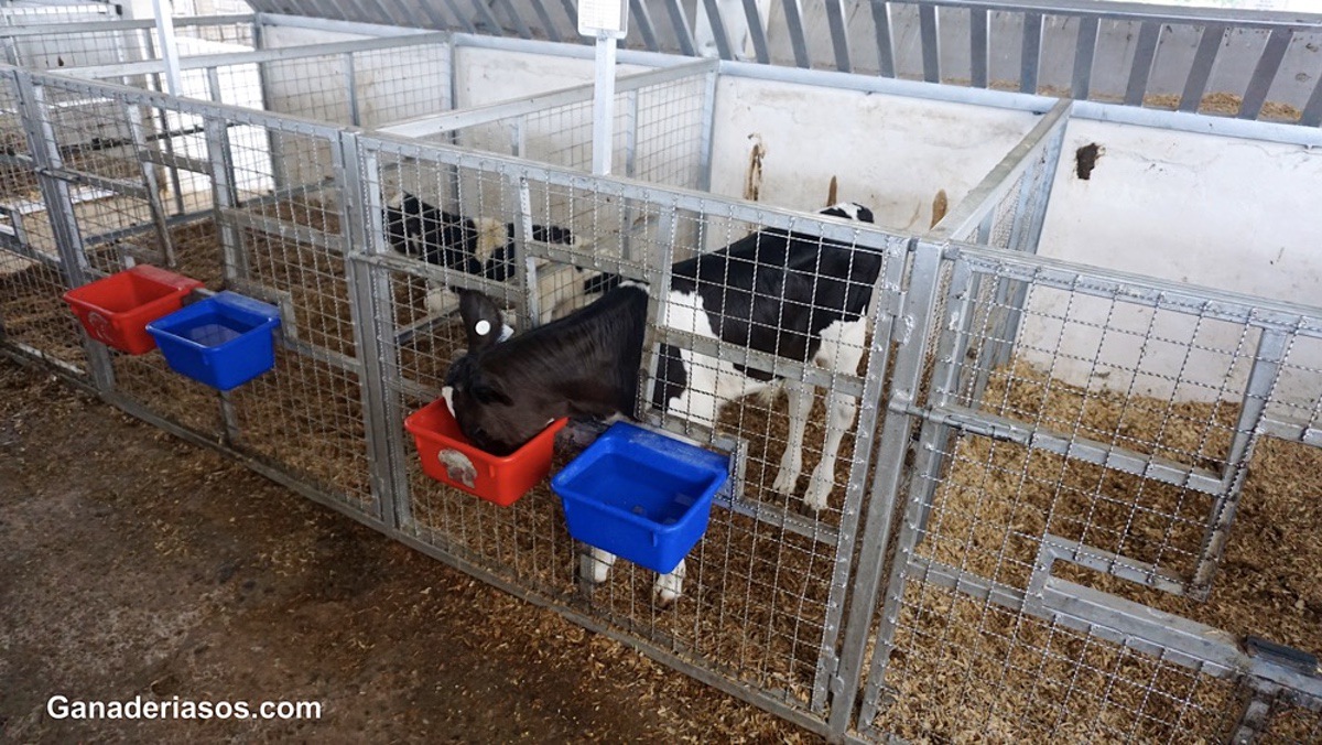 ¿QUÉ TAN BUENA ES SU LECHE DE  DESECHO?