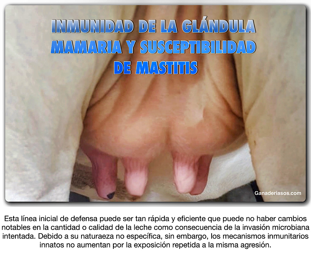 INMUNIDAD DE LA GLÁNDULA MAMARIA Y SUSCEPTIBILIDAD DE MASTITIS