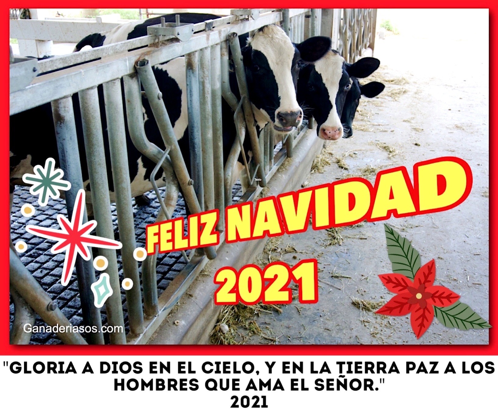 FELIZ NAVIDAD 2021