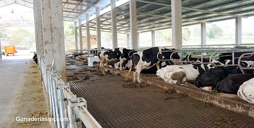 FUNCIONAMIENTO CORRECTO DE LAS PEZONERAS TRIANGULARES VENTILADAS